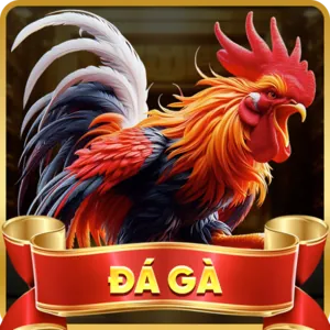 Tham gia đa dạng trò chơi bi88 xổ số