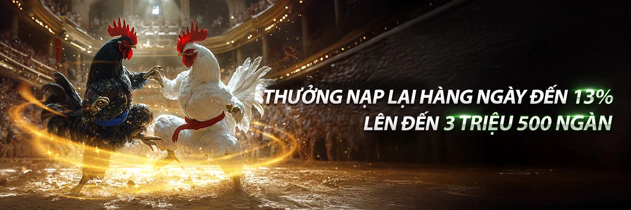 Dịch vụ hỗ trợ khách hàng Bi88